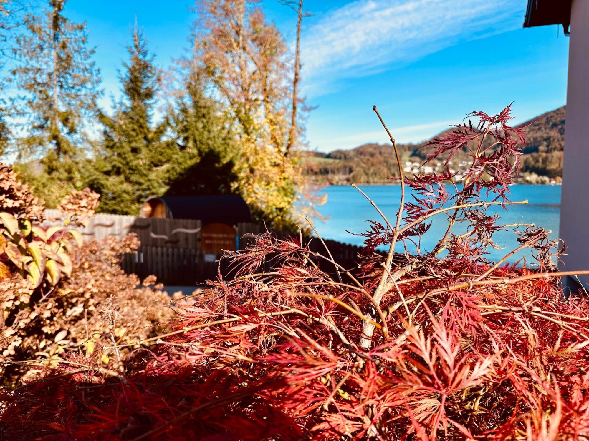 Brunnwirt Essen & Wohnen Leilighet Fuschl am See Eksteriør bilde